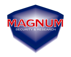 capacitacionmagnumsr.net